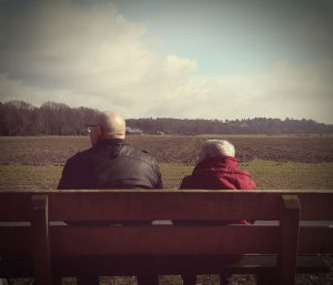 Gasthoeve_De_Zonnebloem_Uitzicht lemelerberg