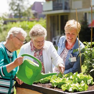 Dagbesteding de koppel