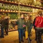 Eindejaarsgeschenk22-654